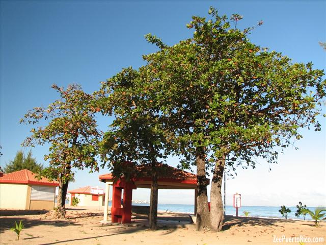 Balneario de Carolina - ZeePuertoRico.com